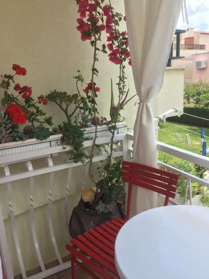 Vintage House For Rent 60M From Sea Daire Baška Voda Dış mekan fotoğraf